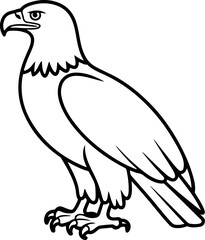 Eagle line art vector illustration
