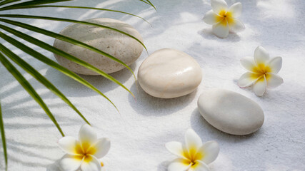 Serene composition featuring spa stones plumeria flowers and lush green palm leaves