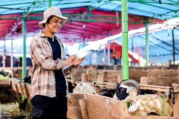 Happy Farmer Use Clipboard Checking Sheep at Livestock Farm