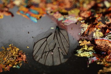 Macro shot of a butterfly on a palette of different colors. Abstract background.