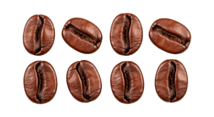 Roasted coffee beans close up