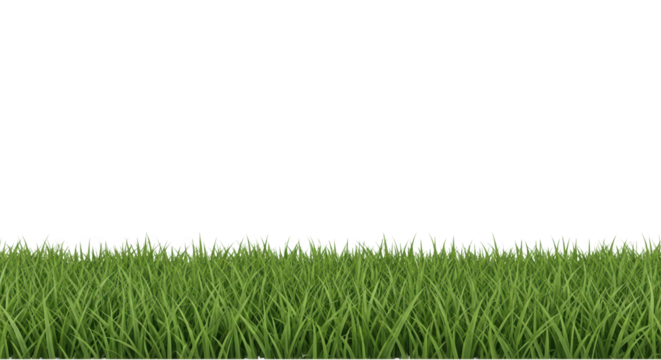 Green grass field background