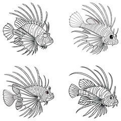 Lionfish bundle line art and illustrator eps 10