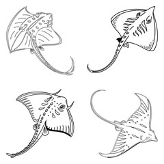 Manta ray fish bundle line art and illustrator eps 10