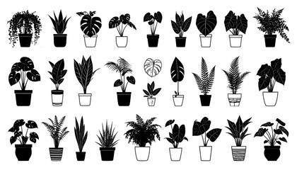 Various potted plants in silhouette