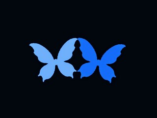 The black background in the picture is an illustration of two light butterflies with two wings and two lower wings of the same color. It is used as an illustration in various art works very beautiful.