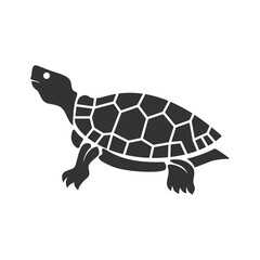 Turtle logo icon design