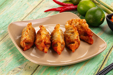 Asian fried stuffed dumplings gyoza