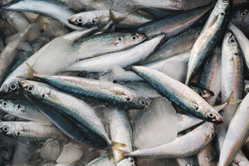 catch of fresh sea fish in ice in a container at the seafood market in Asia