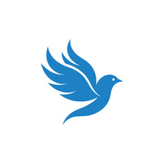 bird logo design vector 