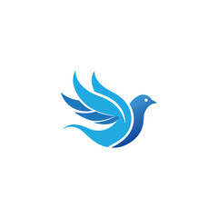 bird logo design vector 