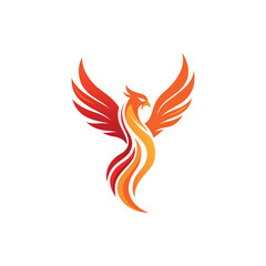 bird logo design vector 