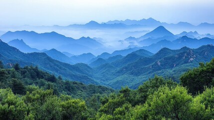 Fototapeta premium Lush Green Forest Overlooking Blue Mountain Range Under Hazy Sky in Daytime