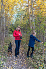 Family Autumn Walk: A mother, daughter, and dog enjoy the outdoors in a forest trail during the...