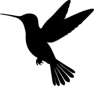 black hummingbird silhouette flying on white clip art preview
