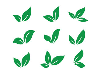 Green leaves plant eco logo symbol. Leaf icon set.  Collection green leaf. Vector illustration eps 10