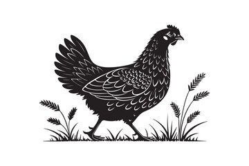 Elegant Hen Silhouette
