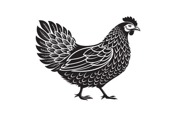 Fototapeta premium Elegant Hen Silhouette
