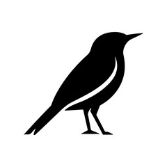 Silhouette of a Black Bird