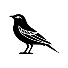 Silhouette of a Black Bird