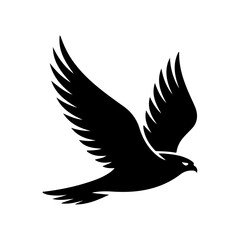 Silhouette of a Black Bird