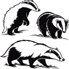 European Badger Silhouette  for Designers