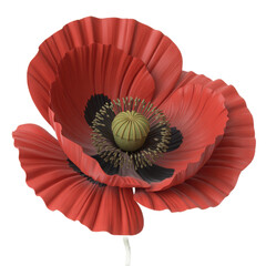 Realistic red poppy flower isolated on transparent background