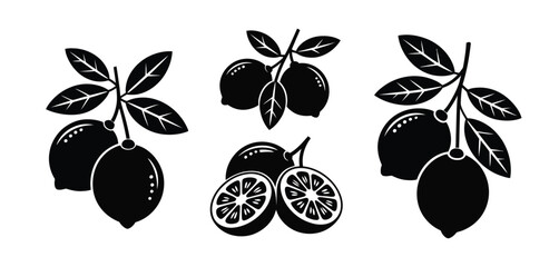 Black and White Lemon Illustrations with Leaves
