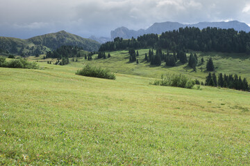 Wide pasture in Dolomites area in Italy