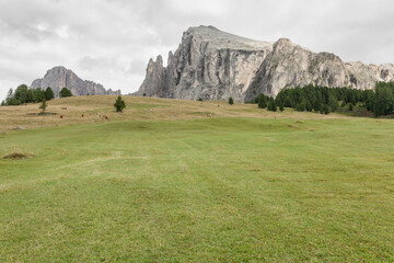Wide pasture in Dolomites area in Italy