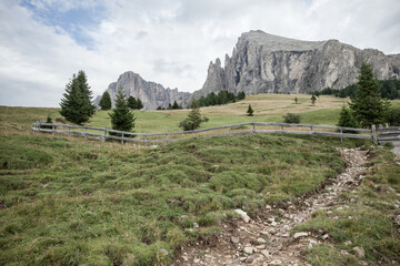 Wide pasture in Dolomites area in Italy