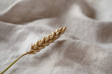 An ear of barley gracefully leans diagonally across a textured neutral fabric, showcasing its golden grains and delicate details in soft natural light