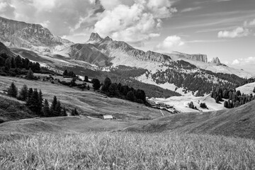 The wide meadows on the northern side of Sciliar mount in the Dolomites