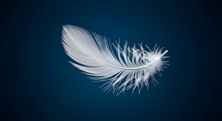 Naklejka premium white feather on blue background