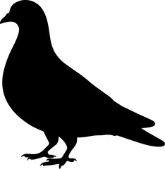 pigeon silhouette vector