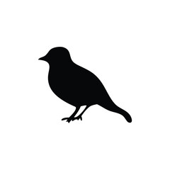 Obraz premium Black bird silhouette on a branch vector illustration