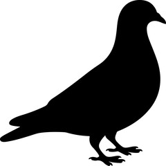 pigeon silhouette vector