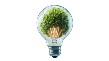 nature conservation concept Light bulb with a tree growing inside. isolated on white background