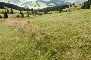 small house over a mountain pasture in Dolomites with wonderful panorama