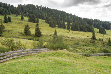 small house over a mountain pasture in Dolomites with wonderful panorama