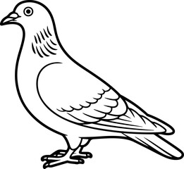 pigeon line art vector