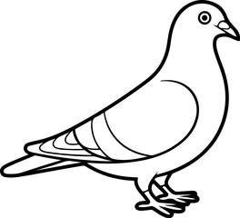 pigeon line art vector
