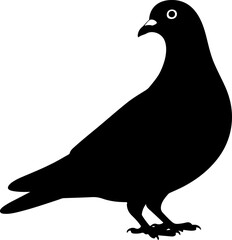 pigeon silhouette vector
