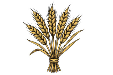 Wheat stalks tied together in a bunch representing agricultural harvest during late summer season © Mark