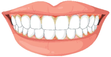 Gordijnen Healthy Smile with White Teeth © GraphicsRF