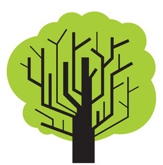 Baum050625a