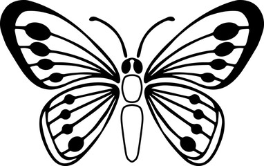 Vector graphic of flying butterfly in a top view isolated on white background.