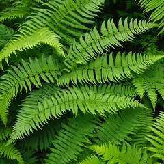 The mesmerizing beauty of fern fronds gracefully unfurling reflects a transformative journey of self discovery and growth, showcasing the profound and wondrous process of maturation