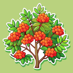 red berries on a branch