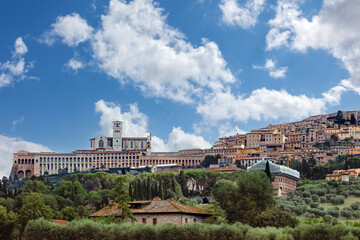 Assisi medieval town prominently visible among lush greenery and olive trees on an sunny day one of the most important places of Christian pilgrimage in Italy. Assisi, Umbria, Italy